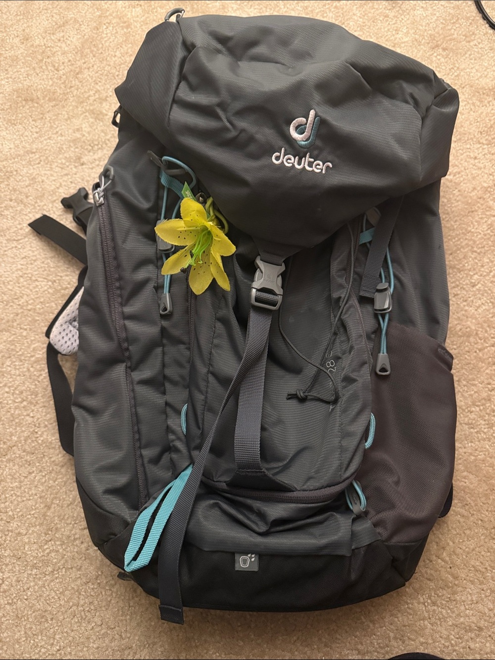 NEW! Deuter Women’s Backpack